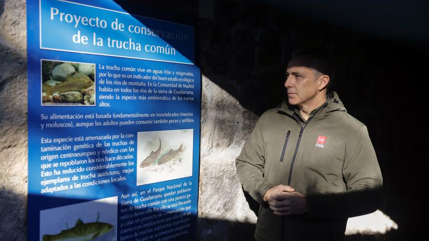 Carlos Novillo presenta un proyecto de recuperación de la trucha común en el Parque Nacional de la Sierra de Guadarrama