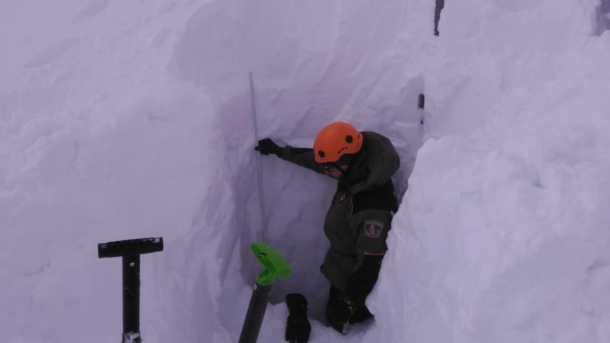 Agentes Forestales realizan sondeos en la nieve para prevenir aludes