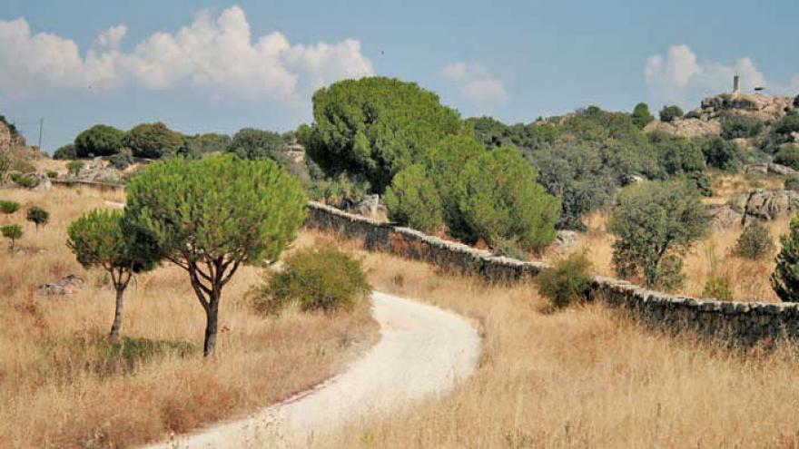 Senda de Torrelodones a Galapagar y Colmenarejo - R6