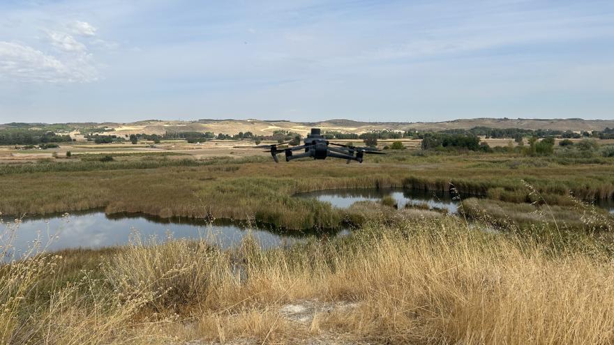 drones para el seguimiento de aves autóctonas en el Parque Regional del Sureste 1