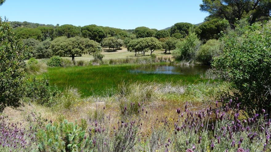 Vista ecosistema sierra oeste