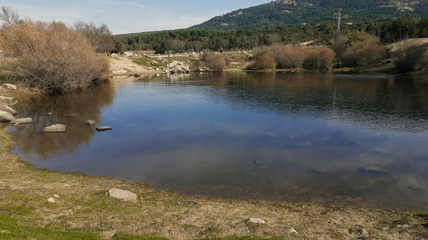 Foto de Laguna del Gato