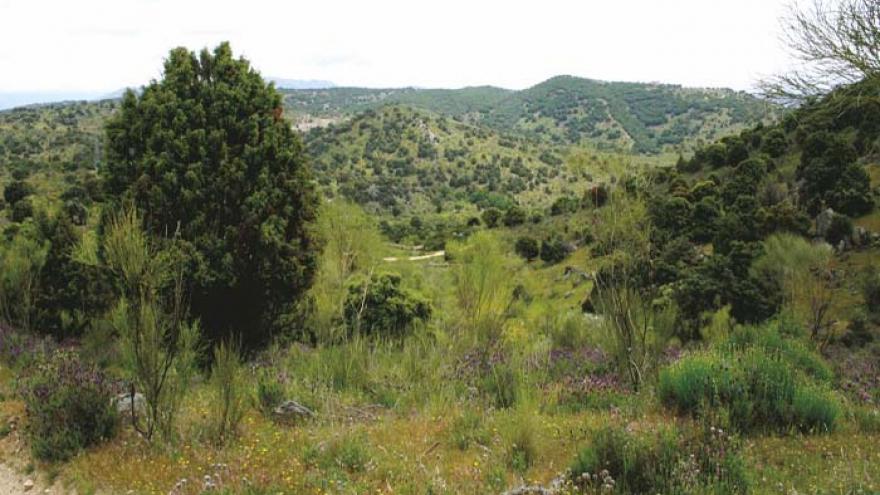 Senda de Colmenarejo a Villanueva del Pardillo - R13