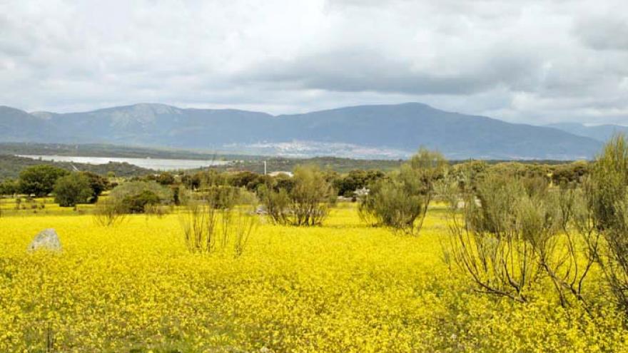 Senda de Colmenarejo a Valdemorillo - R14