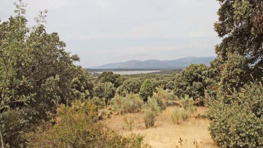 Senda de Colmenarejo a Valdemorillo - R14