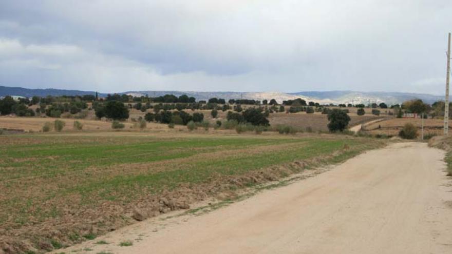 Senda de Villanueva de la Cañada a Brunete - R20