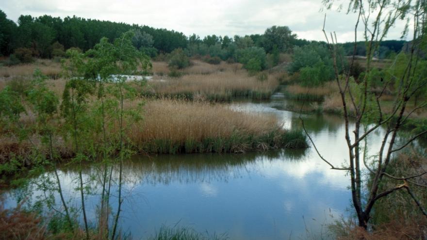 Vista río en Parque Regional del Sureste