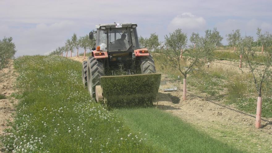 Tractor segando en campo de cultivo La Chimenea