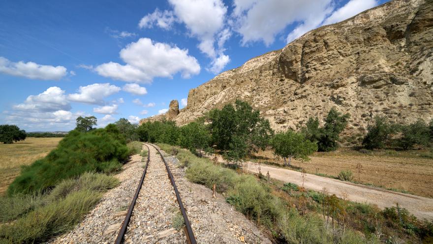 Tren Arganda