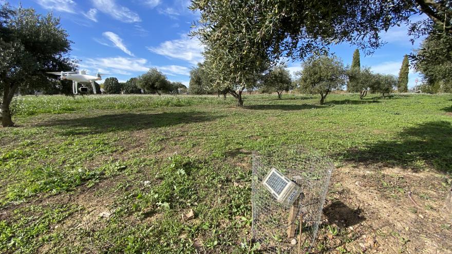 Sensor utilizado en agricultura