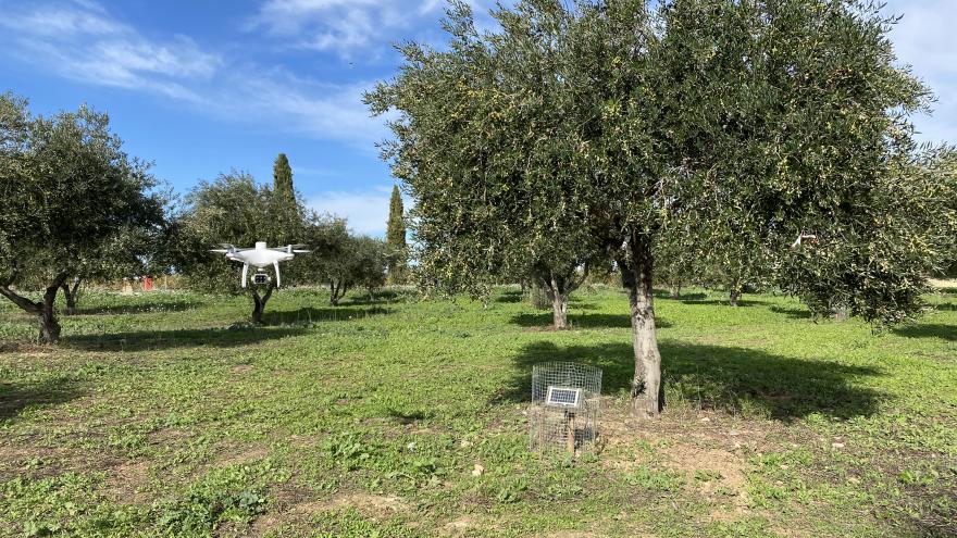 Dron utilizado en agricultura