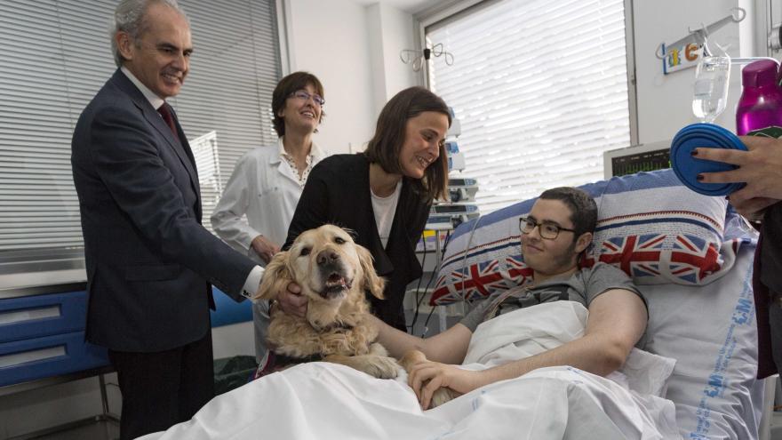 Terapia asistida con perros