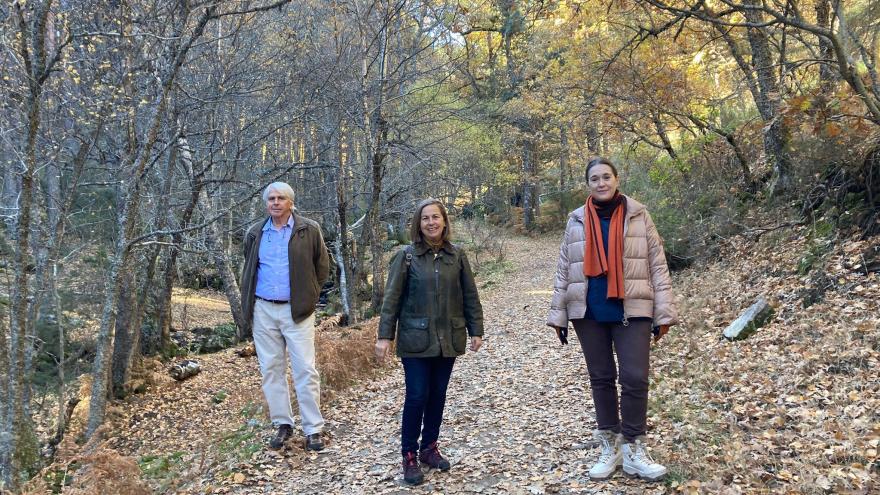 La Comunidad de Madrid invita a disfrutar del particular abedular de Canencia
