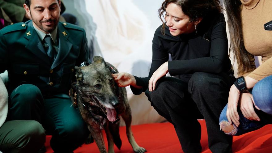 La presidenta junto a los perros en adopción
