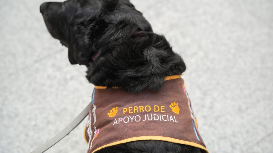 Perro de Apoyo