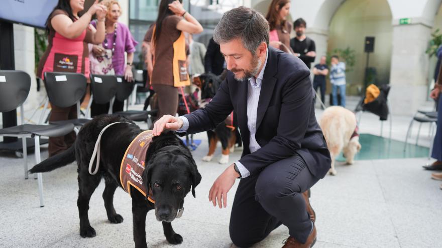 El consejero Miguel Ángel García Martín durante la presentación de la memoria anual del Programa de Perros de Apoyo a Menores en juzgados