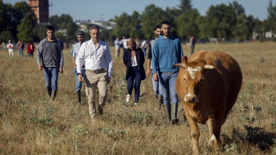El consejero Carlos Novillo durante su visita a una ganadería de vacuno en Collado Villalba
