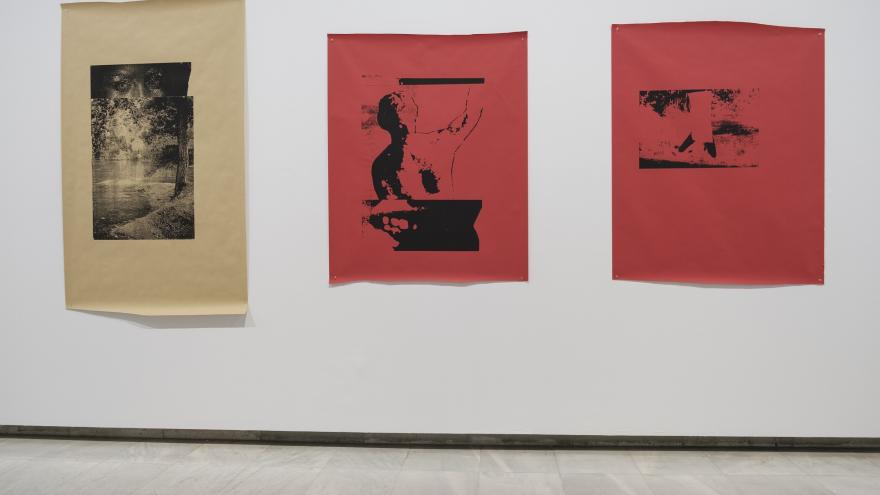  La Comunidad de Madrid dedica una exposición a la artista Azucena Vieites 