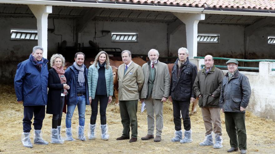 Paloma Martín en la subasta de ganado de raza limusín