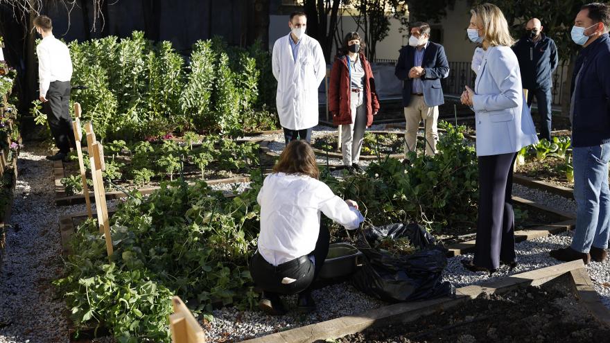 La consejera mirando cómo plantan cultivos hortofrutícolas