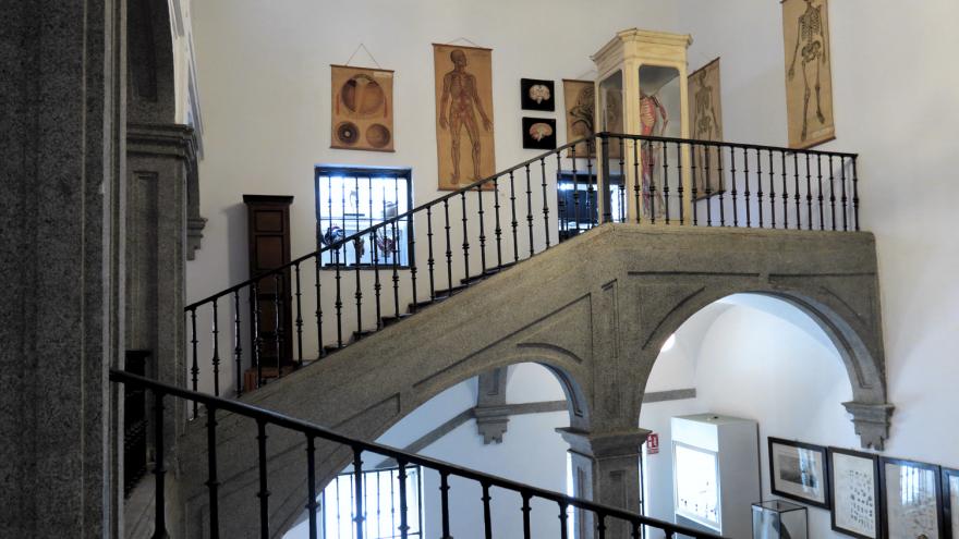 Exhibición y montaje en Escalera últimos pisos