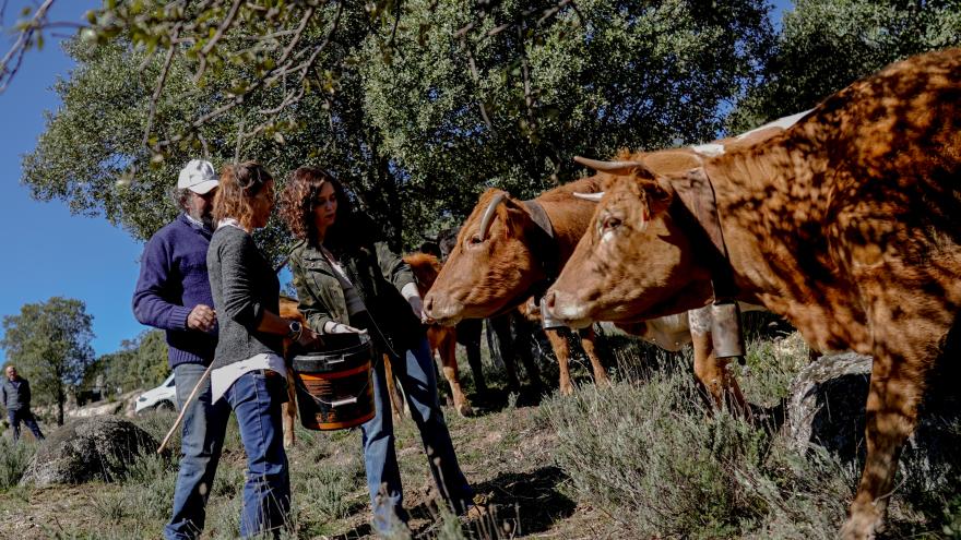 La presidenta junto a algunas vacas
