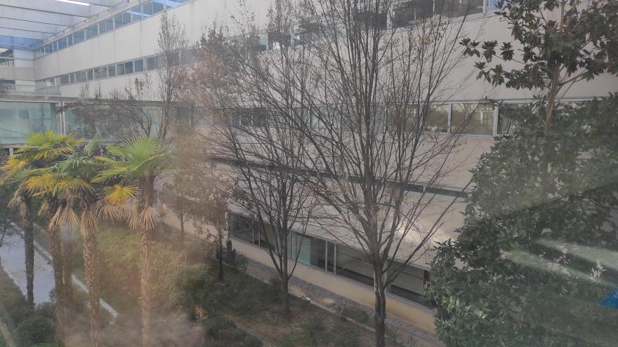 Jardines exteriores en un centro hospitalario