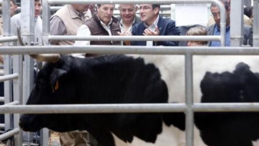 Imagen de cabecera #3 de la página de "La cabaña ganadera de razas autóctonas en peligro de extinción se incrementa un 54%"