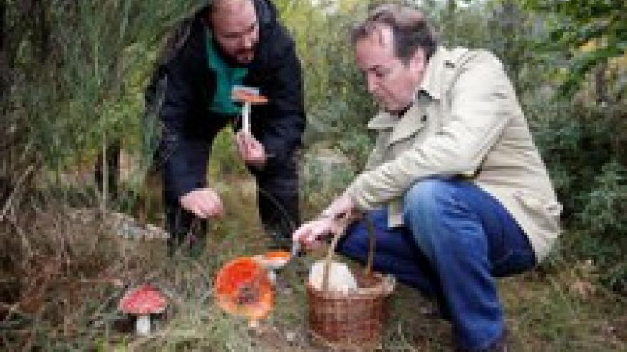 Imagen de cabecera #2 de la página de "La Comunidad programa más de 350 actividades medioambientales gratuitas para disfrutar del otoño"