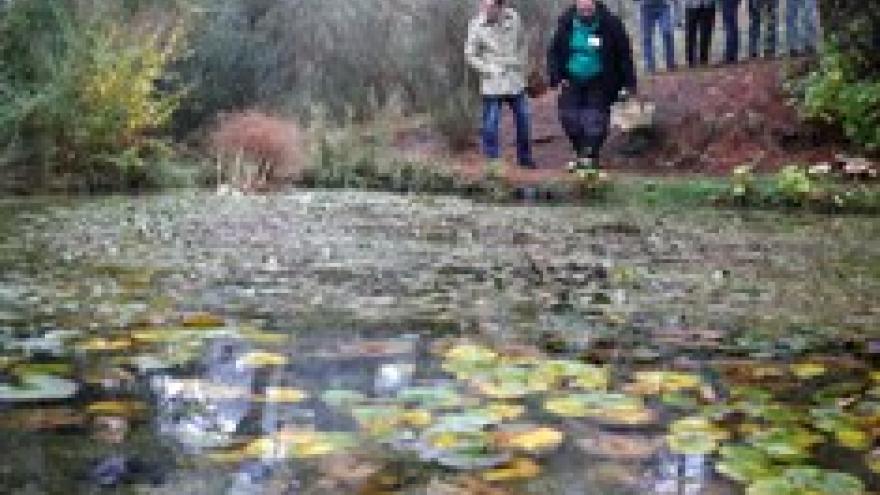 Imagen de cabecera #3 de la página de "La Comunidad programa más de 350 actividades medioambientales gratuitas para disfrutar del otoño"