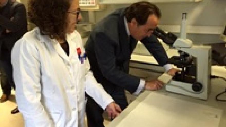 Imagen de cabecera #1 de la página de "La Comunidad de Madrid incrementará un 28% el importe para becas de investigación alimentaria"