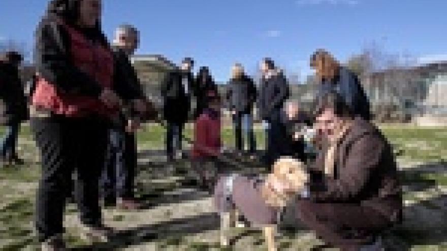 Imagen de cabecera #1 de la página de "La Comunidad de Madrid abre sus centros de atención de animales a los grupos de la Asamblea "