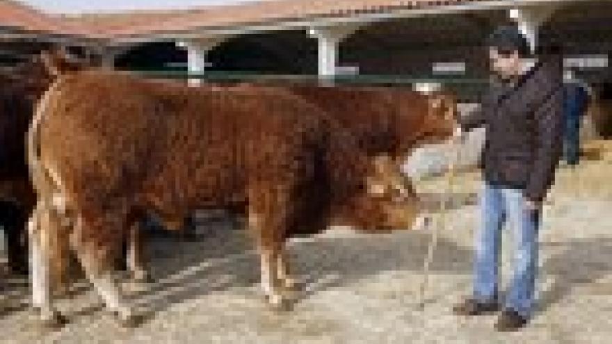Imagen de cabecera #0 de la página de "Los madrileños consumen el 16% del total nacional de carne con certificado de origen"