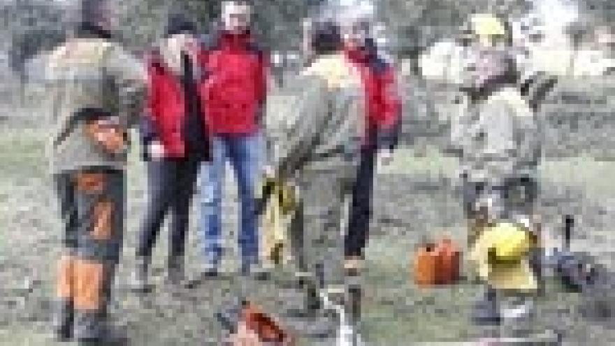 Imagen de cabecera #3 de la página de "La Comunidad de Madrid impulsa el pastoreo controlado como medida de prevención de incendios"