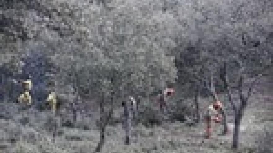 Imagen de cabecera #4 de la página de "La Comunidad de Madrid impulsa el pastoreo controlado como medida de prevención de incendios"