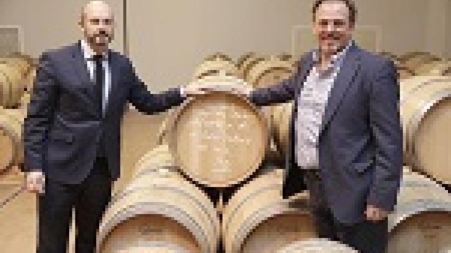 Imagen de cabecera #2 de la página de "Las ventas de los Vinos de Madrid con Denominación de Origen superaron los 4 millones de botellas en 2017"