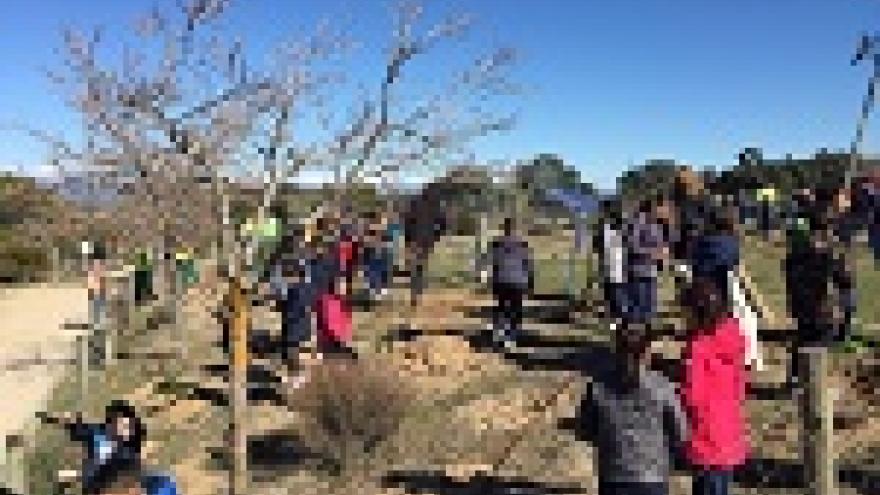 Imagen de cabecera #2 de la página de "La Comunidad de Madrid invierte 1,2 millones de euros en el Parque Regional del Curso Medio del Río Guadarrama"