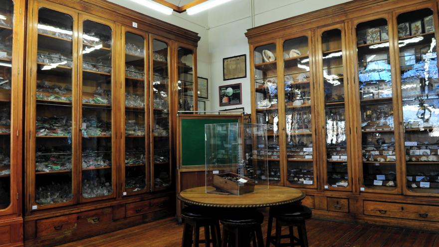 El Gabinete de Historia Natural segunda sala