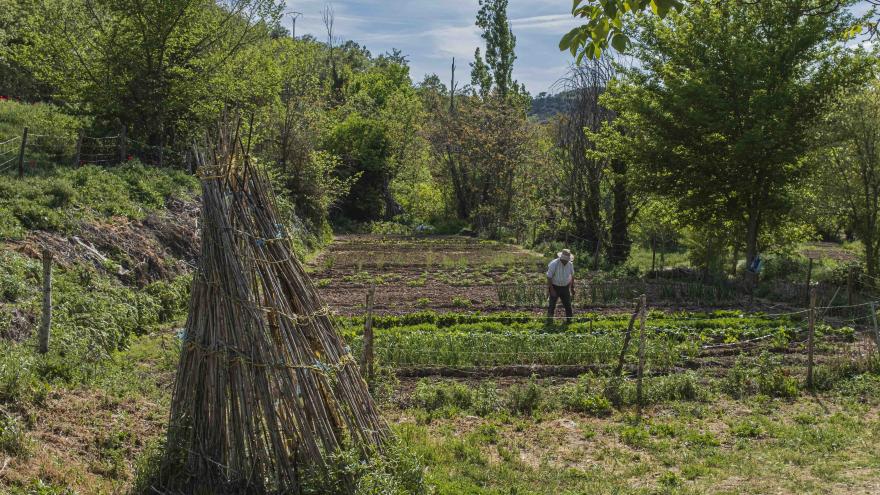 un hombre trabaja en su huerto