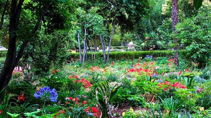 parterre uno