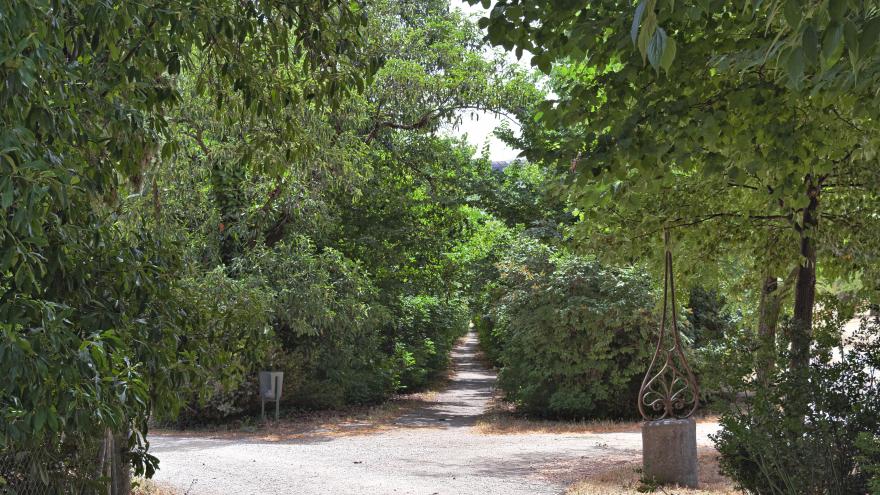 Paseo de los lilos