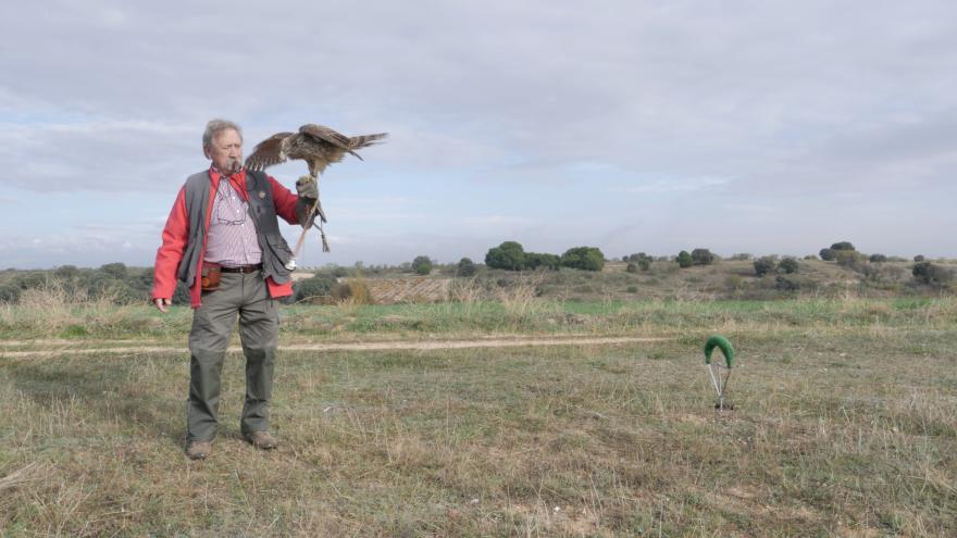 Image of a falconer during an exhibition
