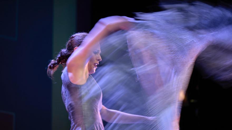 Festival Suma Flamenca 2024
