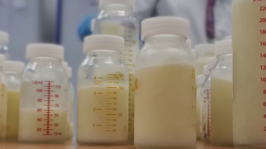 botes de cristal de distintos tamaños con leche