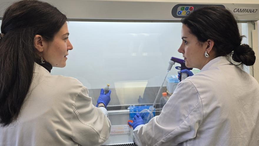 Dos profesionales con bata blanca trabajando en una camapana de laboratorio