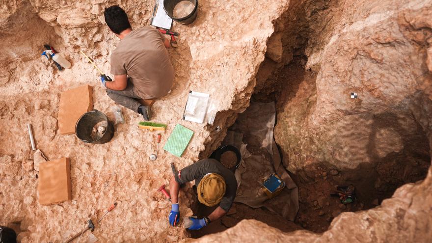 Museo del Valle de los Neandertales