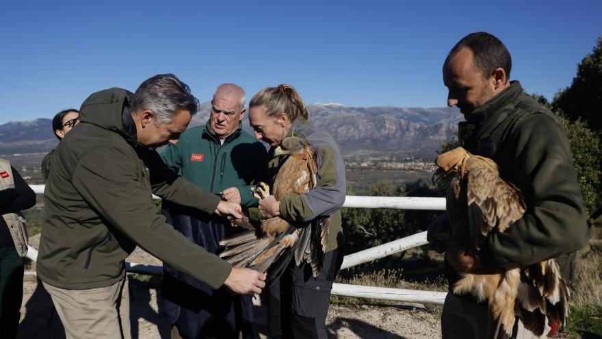 El consejero Novillo