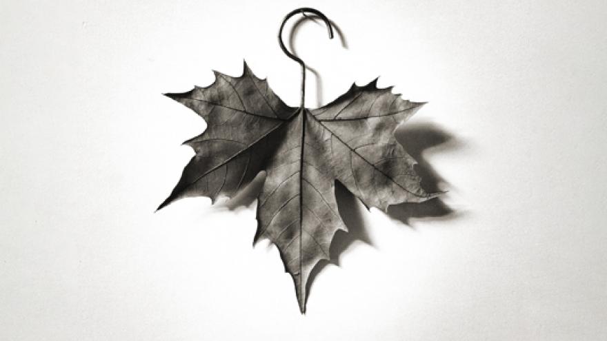 CHEMA MADOZ 2023