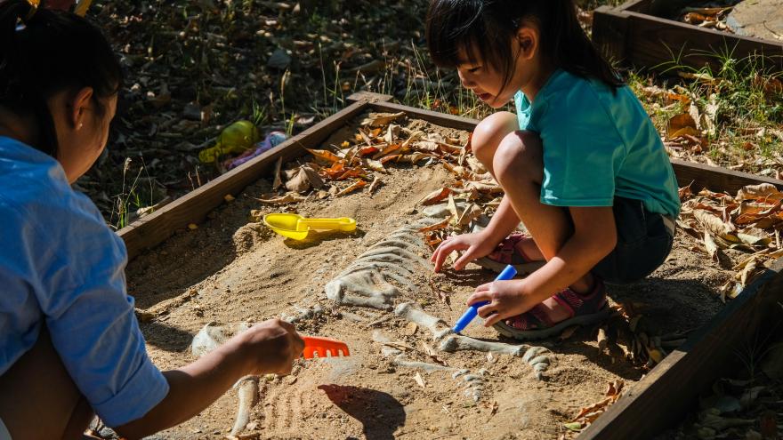 Unos niños jugando a ser arqueólogos