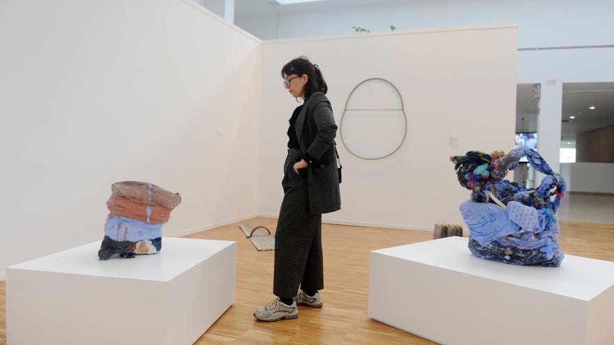 Visitante en una exposición de arte